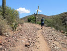 photo thumbnail #3