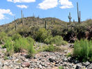 photo thumbnail #6