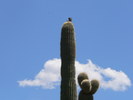 photo thumbnail #10