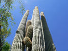 photo thumbnail #11