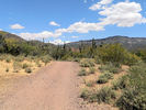 photo thumbnail #12