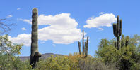 photo thumbnail #13