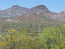photo thumbnail #14