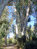 photo thumbnail #10