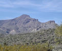 photo thumbnail #1
