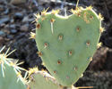 photo thumbnail #13