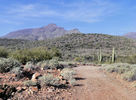 photo thumbnail #15