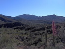 photo thumbnail #2
