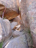 photo thumbnail #8