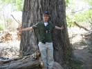 photo thumbnail #8