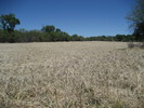 photo thumbnail #10
