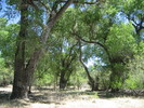 photo thumbnail #13