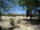 photo thumbnail #14
