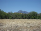 photo thumbnail #15