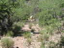 photo thumbnail #2