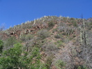 photo thumbnail #3