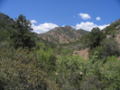 photo thumbnail #8