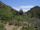 photo thumbnail #9