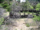 photo thumbnail #10