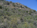 photo thumbnail #12