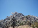 photo thumbnail #2