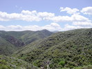 photo thumbnail #9