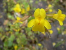photo thumbnail #15