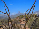 photo thumbnail #13