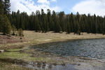 photo thumbnail #4