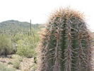 photo thumbnail #4
