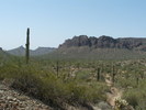 photo thumbnail #8