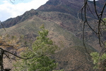 photo thumbnail #11