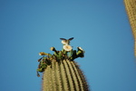 photo thumbnail #3