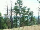 photo thumbnail #7