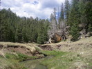 photo thumbnail #4
