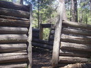 photo thumbnail #7