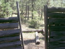 photo thumbnail #10