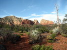 photo thumbnail #7