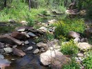 photo thumbnail #4