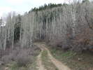 photo thumbnail #6