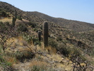 photo thumbnail #15