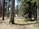 photo thumbnail #1