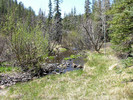 photo thumbnail #2