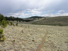 photo thumbnail #3