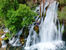 photo thumbnail #10