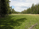 photo thumbnail #9