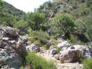 photo thumbnail #1
