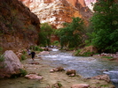 photo thumbnail #6