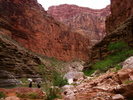 photo thumbnail #11