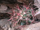 photo thumbnail #2